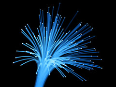 Fibre optique