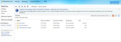 Microsoft Skydrive sur le Web