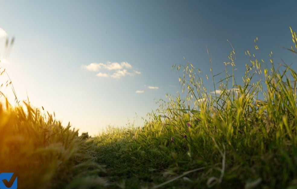 deploiement fibre et mobile en mayenne