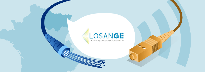 losange fibre