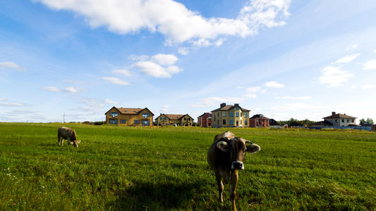 Les offres Internet par satellite de Nordnet débarquent pour vous offrir une connexion ultra-rapide, même au fin fond de la campagne 