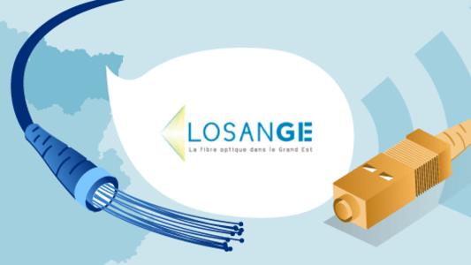 losange fibre