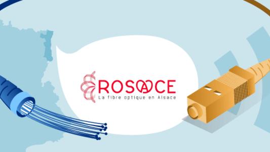 rosace fibre