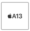 a13